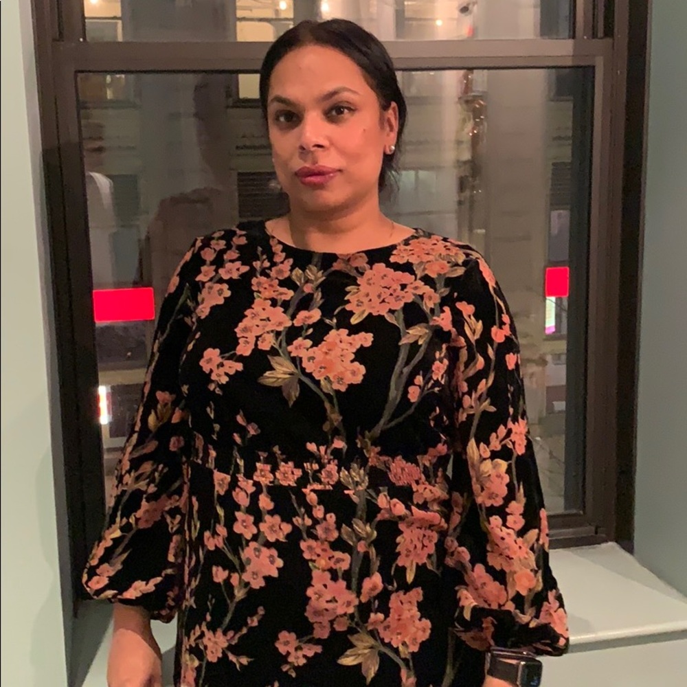 Gorgeous Coldwater Creek Velvet Dress